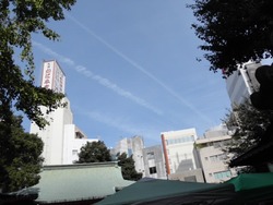 う~ん そういわれても・・・