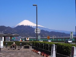 由比PA 桜えび天茶漬け~♪