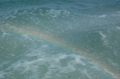 浜松筋ジス会IN浜名湖の画像集