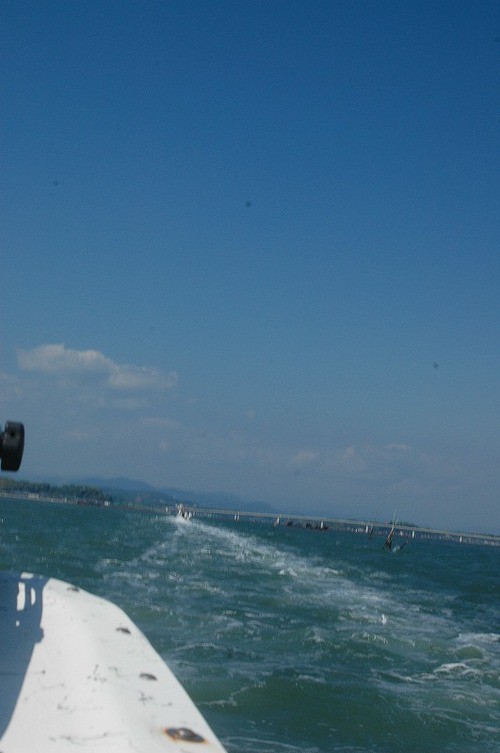浜松筋ジス会IN浜名湖の画像集