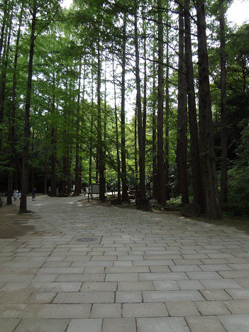 生田緑地
