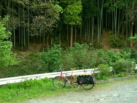 怪奇!?衝撃の地元町内自転車散歩
