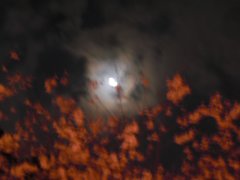 天宮神社例大祭