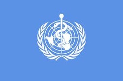 WHO(世界保健機構)でも鍼灸の効果は認められています!!