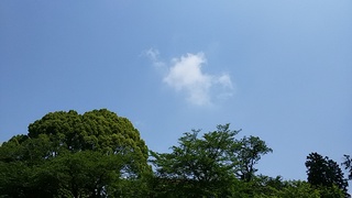長男の中学生相撲大会の応援♪富士宮へGO! 長男の中学生相撲大会の応援♪富士宮へGO!
