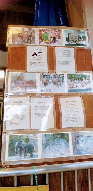 【まさかの50周年記念日】 【まさかの50周年記念日】
