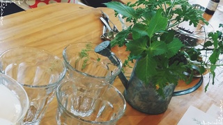 11月の植物療法~ハーブティー付きです~ 11月の植物療法~ハーブティー付きです~