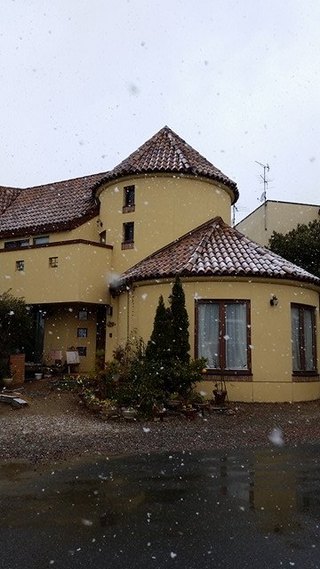 ♪雪やこんこん♪ ♪雪やこんこん♪