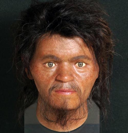 旧石器人、南方系の顔つきでした　石垣島の人骨から復元