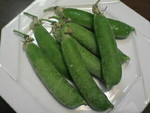 いただきもの★