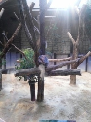 東山動植物園　ﾘﾗｸｾﾞｰｼｮﾝｻﾛﾝ　FOREST　プレ葉ウォーク