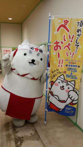 しっぺい、9位に浮上! しっぺい、9位に浮上!