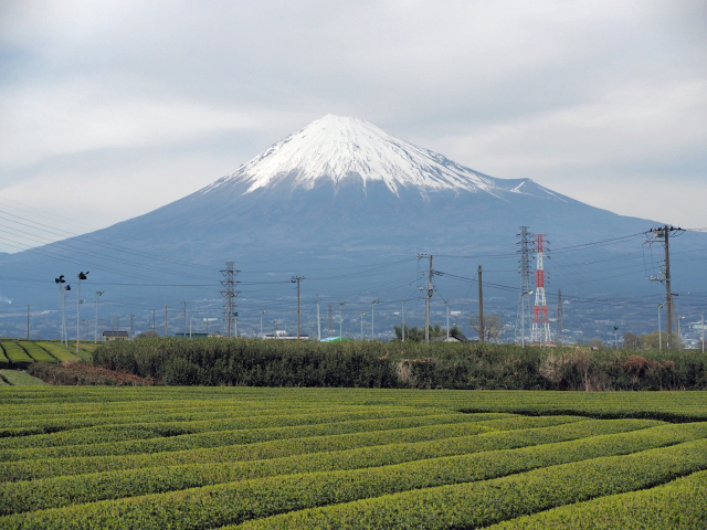 2016年4月6日の富士山 岩本山公園の近く ドライブの合間・・ 2016年4月6日の富士山 岩本山公園の近く ドライブの合間・・