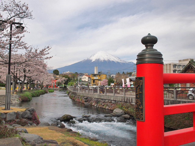 2016年4月6日の富士山 富士山本宮浅間大社から 2016年4月6日の富士山 富士山本宮浅間大社から