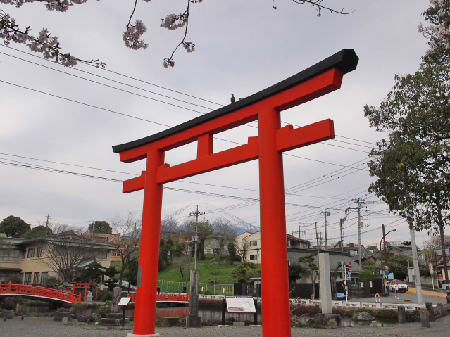 2016年4月6日の富士山 富士山本宮浅間大社から 2016年4月6日の富士山 富士山本宮浅間大社から