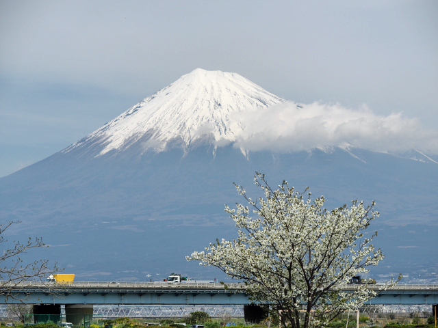2016年4月6日の富士山 富士川河川敷 ドライブの合間 2016年4月6日の富士山 富士川河川敷 ドライブの合間