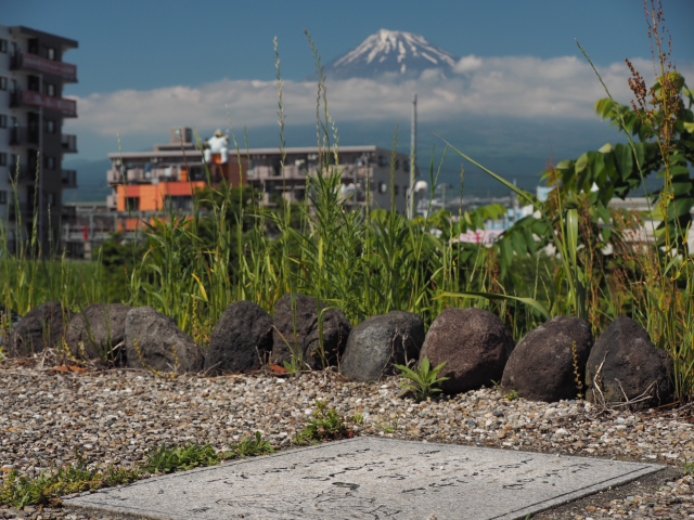 2016年5月12日の富士山 富士市中央公園付近 2016年5月12日の富士山 富士市中央公園付近
