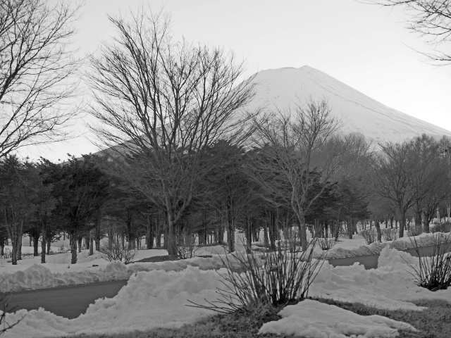2017年1月25日の富士山 恩賜林庭園付近 2017年1月25日の富士山 恩賜林庭園付近