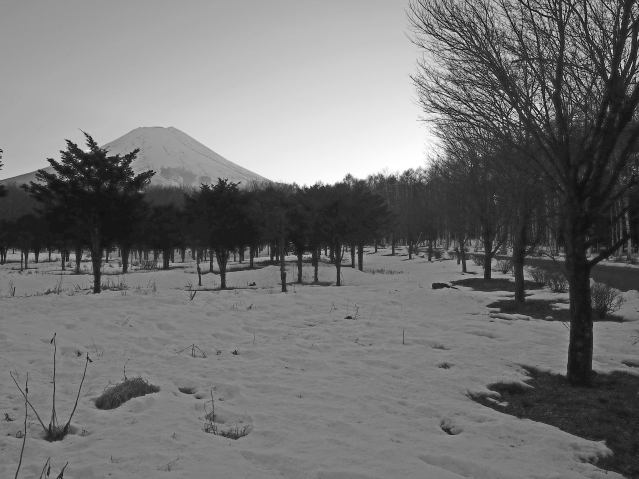 2017年1月25日の富士山 恩賜林庭園付近 2017年1月25日の富士山 恩賜林庭園付近