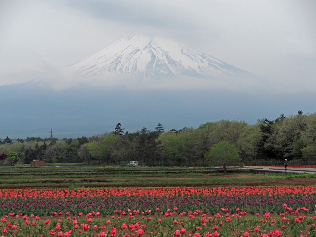 2017年5月12日の富士山 山中湖花の都公園 ドライブの合間 2017年5月12日の富士山 山中湖花の都公園 ドライブの合間