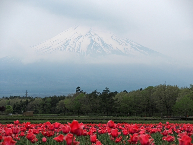 2017年5月12日の富士山 山中湖花の都公園 ドライブの合間 2017年5月12日の富士山 山中湖花の都公園 ドライブの合間