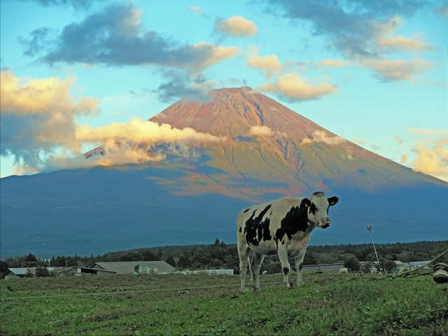 2017年10月4日の富士山 朝霧高原 2017年10月4日の富士山 朝霧高原