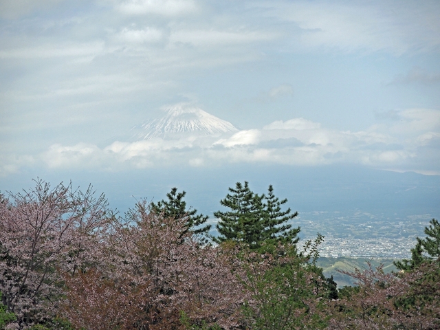2018年4月5日 はたご池 2018年4月5日 はたご池