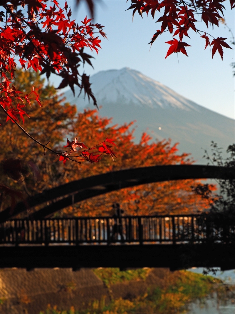 2019年11月6日の富士山 河口湖 2019年11月6日の富士山 河口湖
