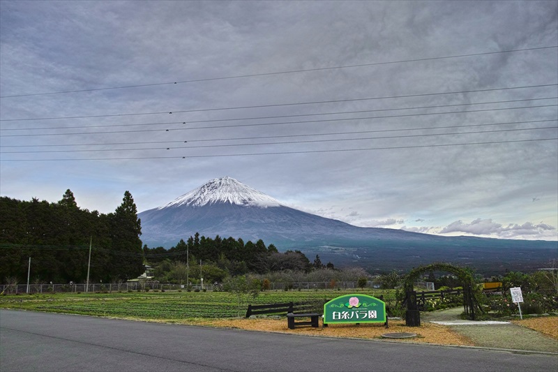 2022年11月24日の富士山 白糸自然公園 2022年11月24日の富士山 白糸自然公園