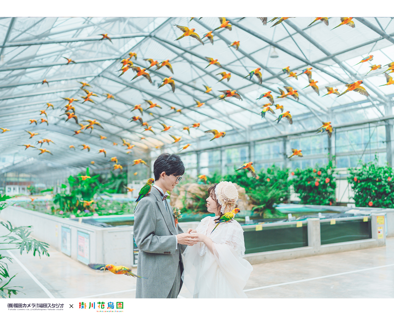 「お写真の結婚式｜掛川花鳥園ロケフォトプラン」その２