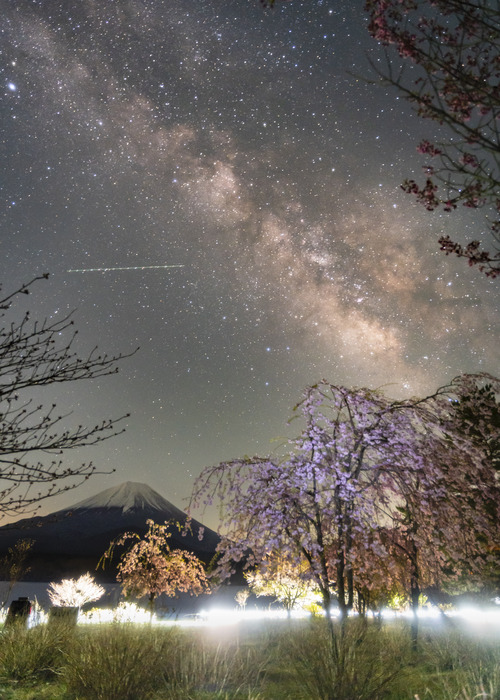 富士山と天の川と花 富士山と天の川と花