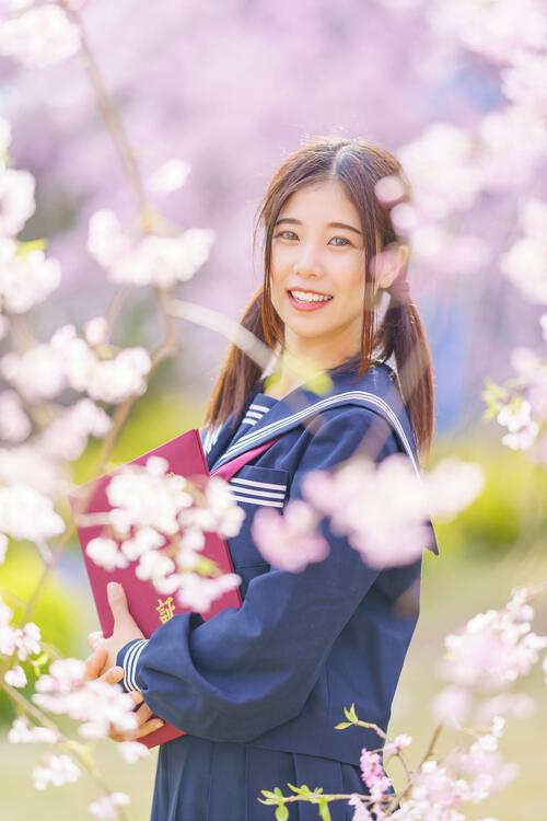 セーラー服卒業 桜
