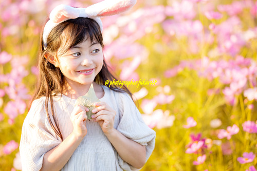コスモス畑子供ポートレート写真撮影 コスモス畑子供ポートレート写真撮影