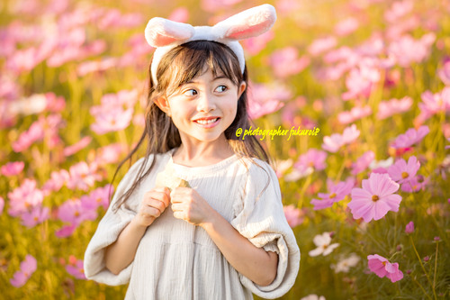 コスモス畑子供ポートレート写真撮影 コスモス畑子供ポートレート写真撮影