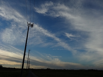 朝雲