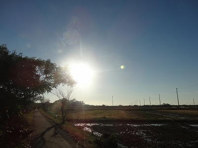 綺麗な青空