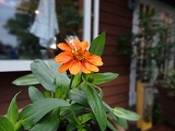 キレイになった(^-^) キレイになった(^-^)