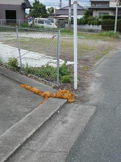 なぜ地底人なのか、、、