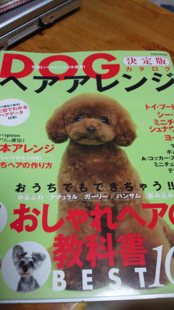 どうしようかな?