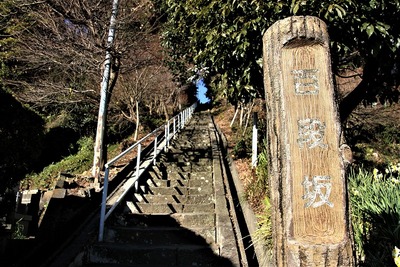 2017.2.12 : 神社(白山神社百段坂) 2017.2.12 : 神社(白山神社百段坂)