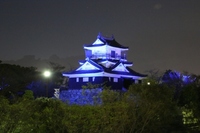 【暮らし】青色にライトアップされた浜松城