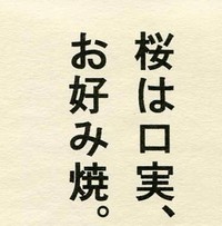 桜開花前線・北上中 (お花見・桜開花) 桜開花前線・北上中 (お花見・桜開花)
