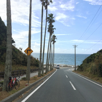 伊良湖岬へ  100kmチャレンジ