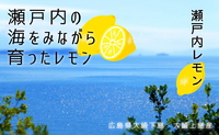 瀬戸内の海をみながら育ったレモン シリーズ販売開始＼(^o^)／