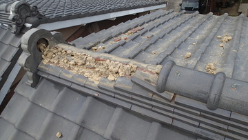 台風災害　屋根修理完了1