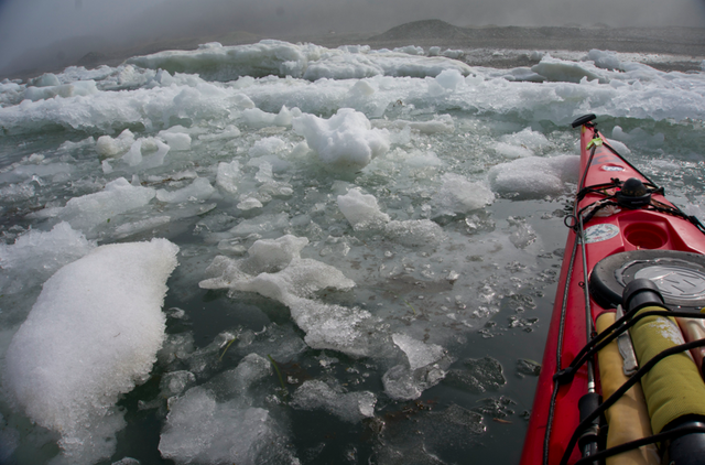 海旅日記　神秘を感じる流氷シーカヤック　知床半島羅臼から標津へ上陸　５月６日