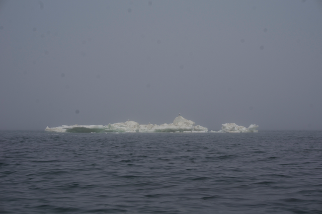 海旅日記　神秘を感じる流氷シーカヤック　知床半島羅臼から標津へ上陸　５月６日