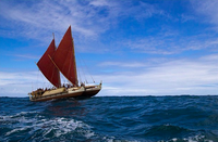 伝統的航海術で、世界周航に向かうホクレア号。