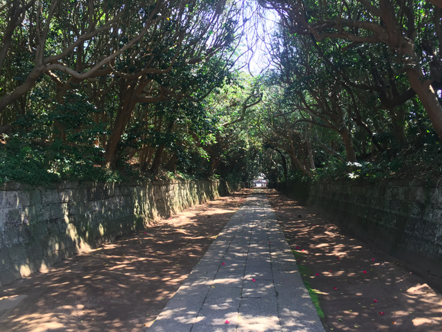 木花咲耶姫神社へ 木花咲耶姫神社へ