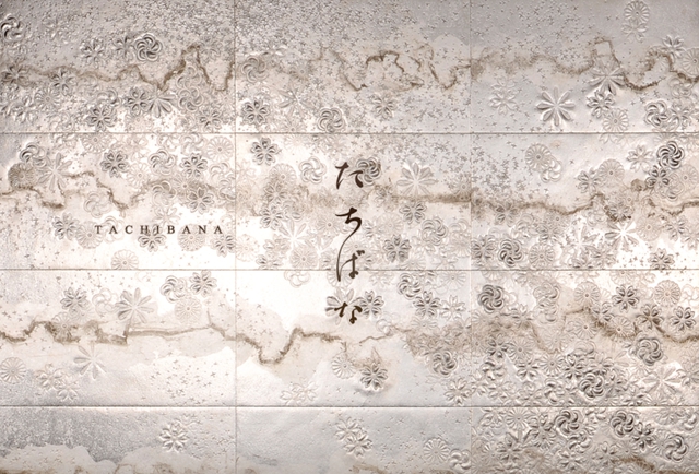 気鋭のアーティスト、橘智哉。 気鋭のアーティスト、橘智哉。